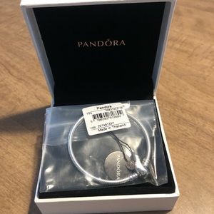 Pandora Charm Bracelet